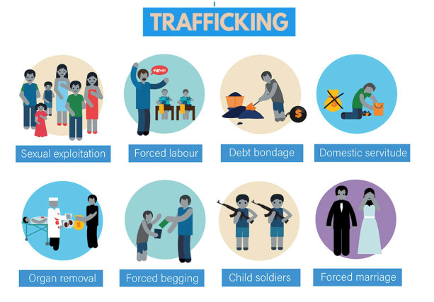 UN Human Trafficking Graphid