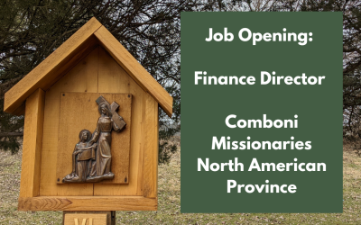 Job Opening: Finance Director for North American Province