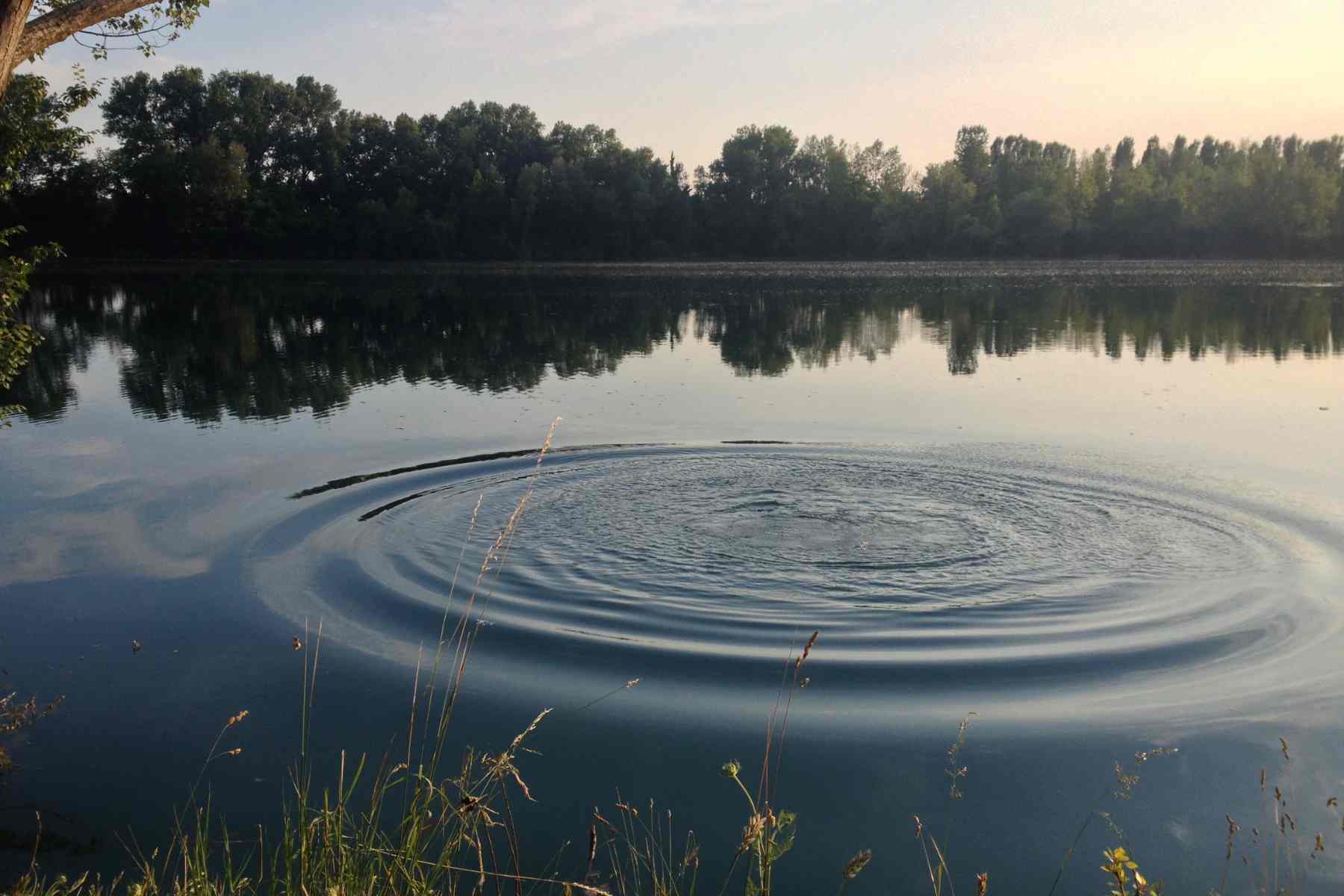 Ripples in the water