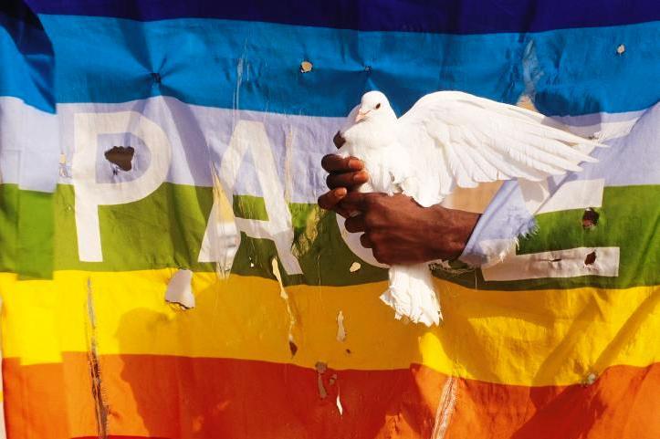 A torn flag emblazoned with the word Peace. Someone holds a dove through a hole in the flag.